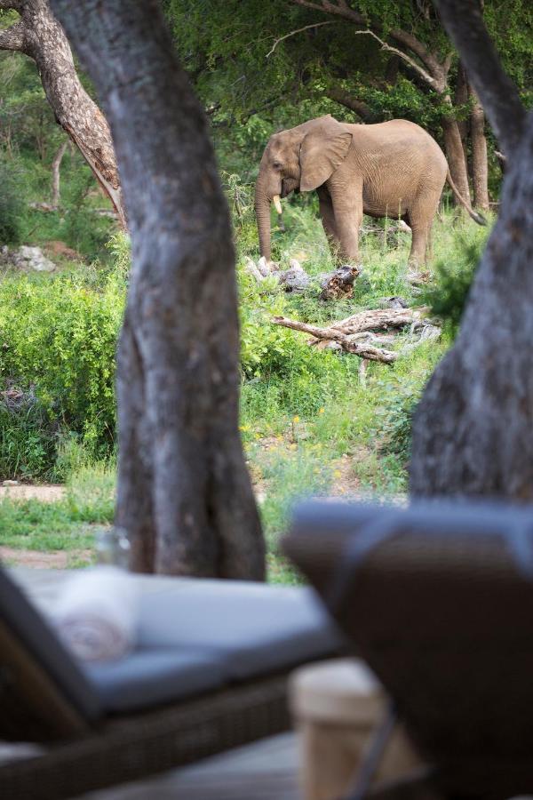 Simbavati Amani Villa Klaserie Private Nature Reserve Bagian luar foto